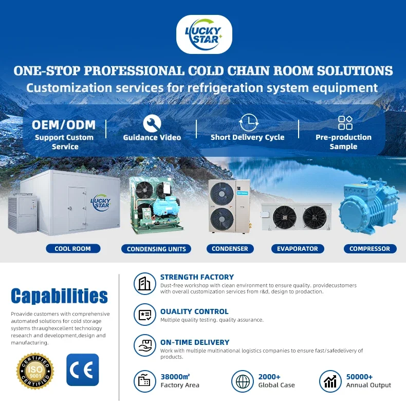 Cold Evaporator, 3HP, 220 V, -30℃ - detail 2