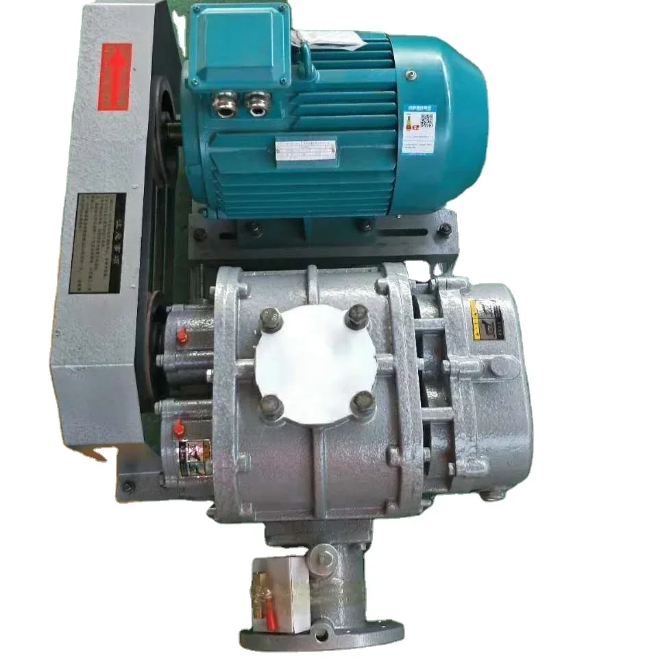 Roots Blower, 120V, Electric Blower - detail 12