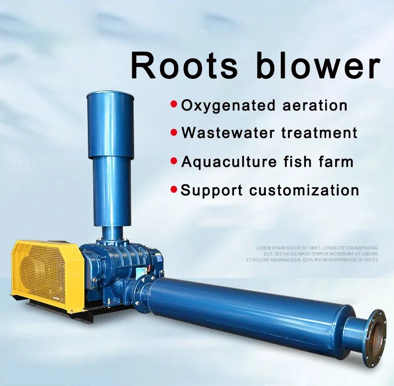 Roots Blower, 1250, ZA-202 - detail 2