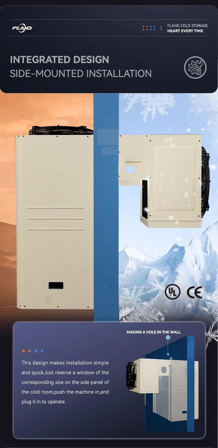 Condensing Unit, 220 V, R507 - detail 20