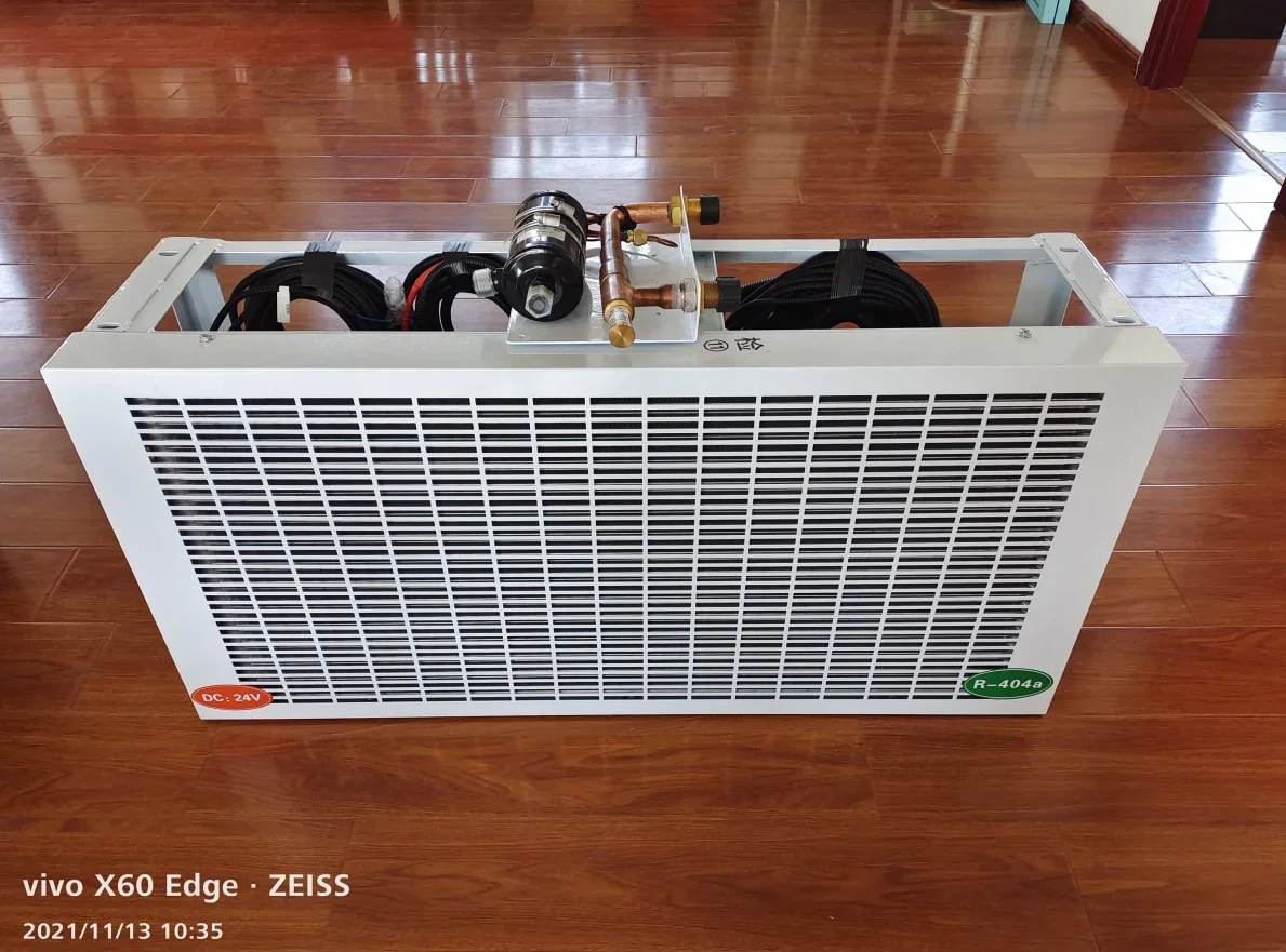 Automotive Electric Reefer Freezer, DC12V, R404a - detail 12
