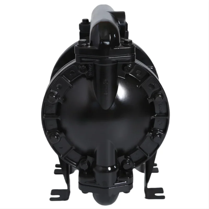 Quality Aluminum Diaphragm Pumpdiaphragm, Pneumatic, QBY4-15PP - detail 12