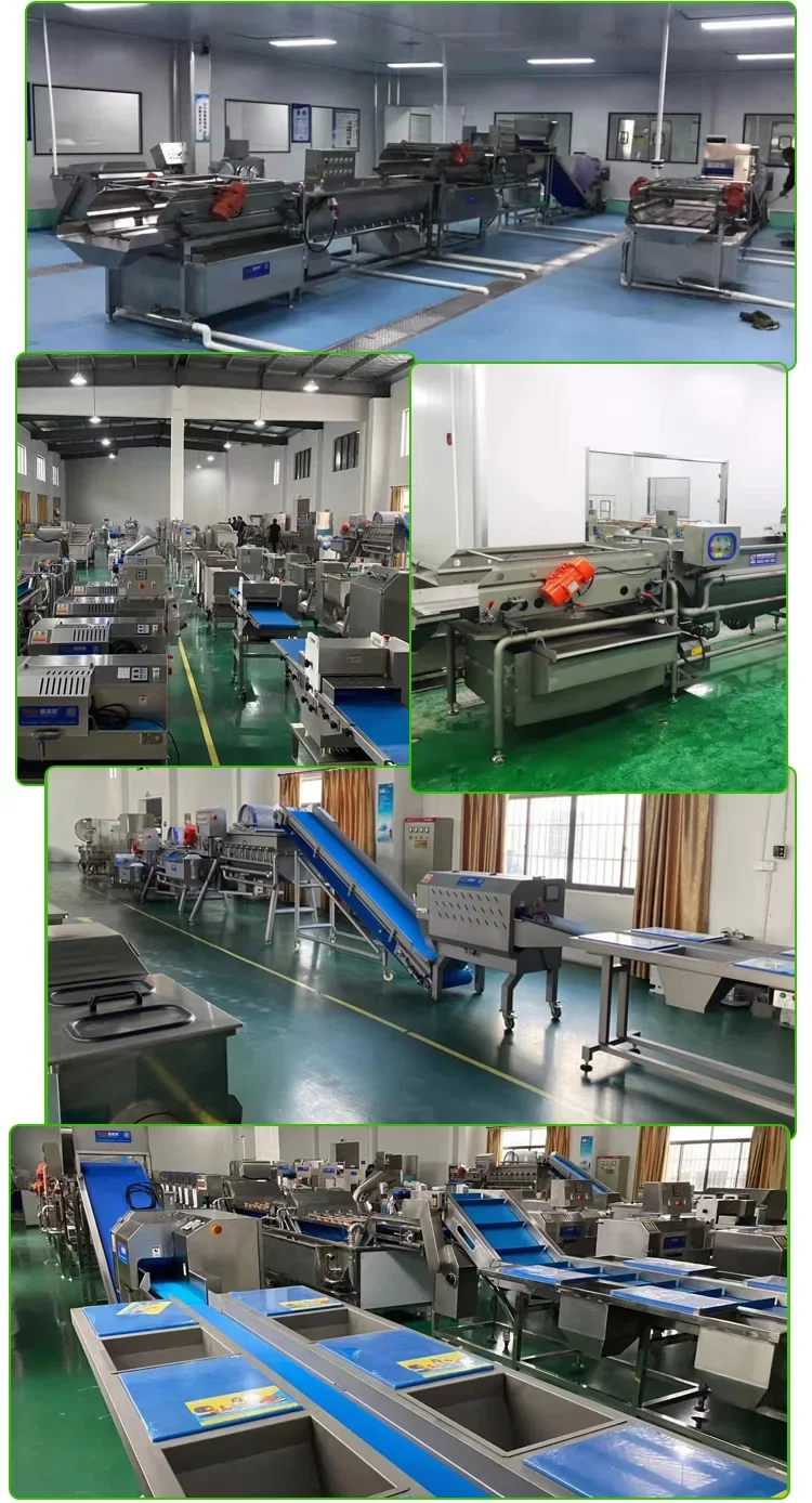 Thawing Equipment, SUS304, Stainless, Steel, 1000-5000kg - detail 28