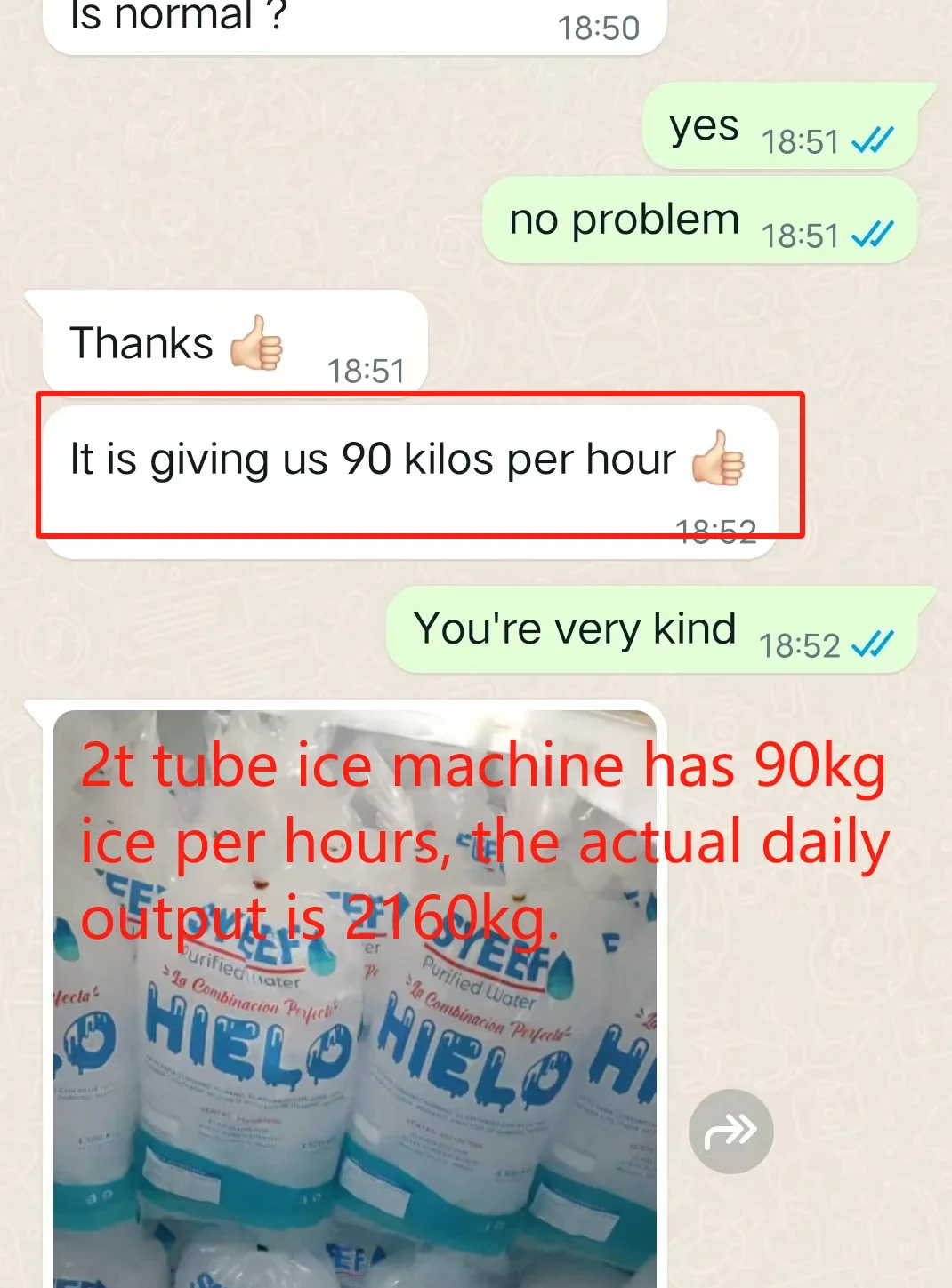 Ice Machine, ICEMA, 500kg, 1ton, 2ton - detail 32