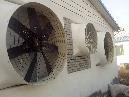 Fiberglass Exhaust Cone Fan, Customization, Electric - detail 14