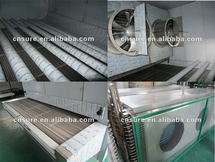 Equipment Quick Tunnel Freezer, IQF, 380v - detail 8