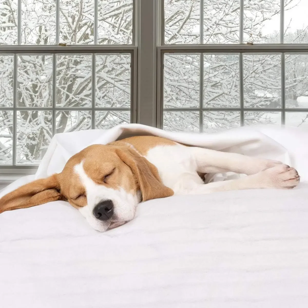 Electric Under Blanket, Portable, 150*80cm - detail 4
