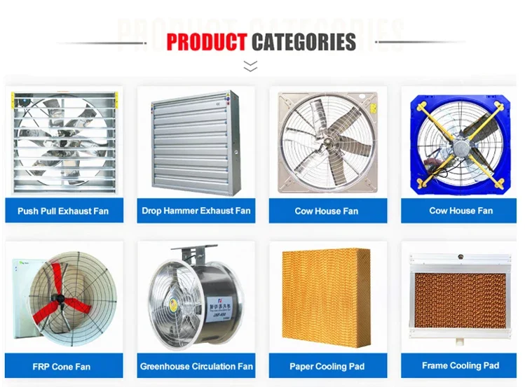 Fiberglass Exhaust Cone Fan, Customization, Electric - detail 30
