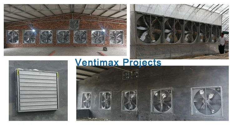 Poultry Exhaust Ventilation Fan, 50%, 380V, 22000-44800CBM - detail 38