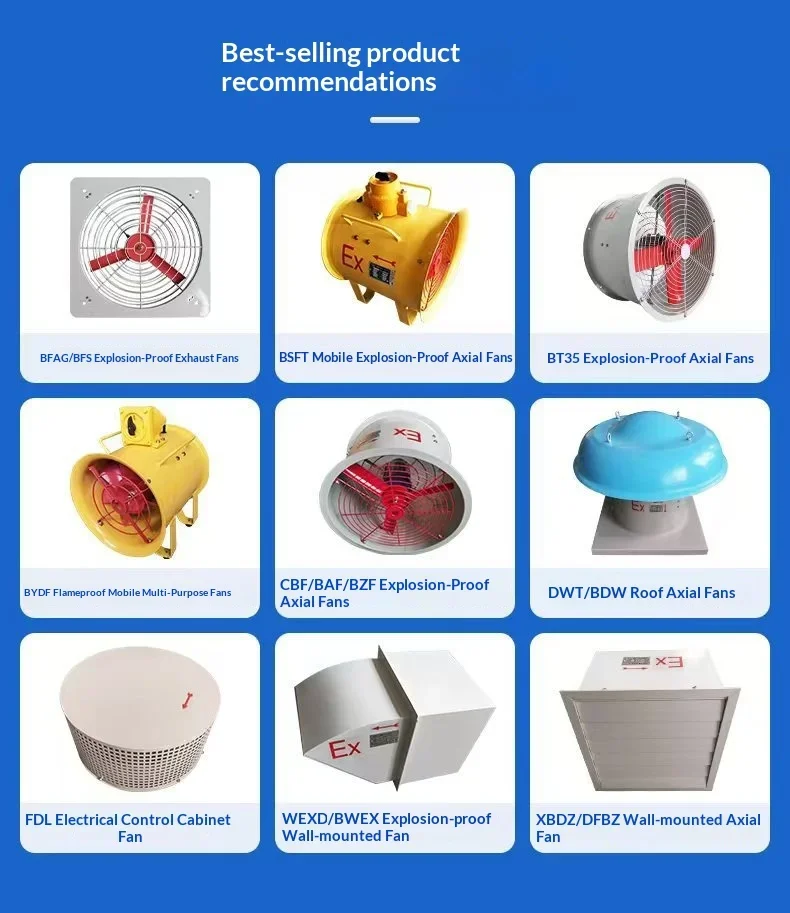 Explosion-proof Axial Marine Fan, BSFT-300, Portable - detail 2