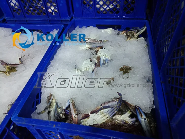 Ice Machine, 20000, Stainless Steel, R22 R404a - detail 20