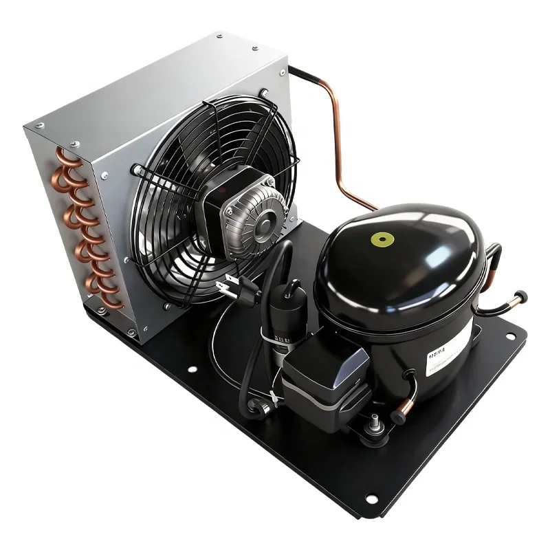 Condensing Unit, 220V, NJ2192GK, R404A, 2.5KW - detail 10
