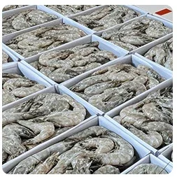 Factory Iqf Tunnel Freezer, 220V, 2.25kw(3.02hp) - detail 12