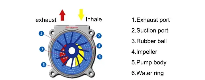 Cast Ironstainless Steel Impeller, 2BV, Electric, 2BV-2060 - detail 8
