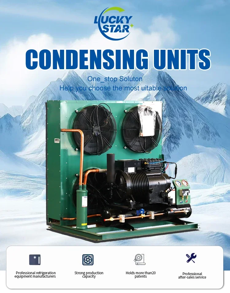 Condensing Unit, 5HP, 220 V, -30℃ - detail 2