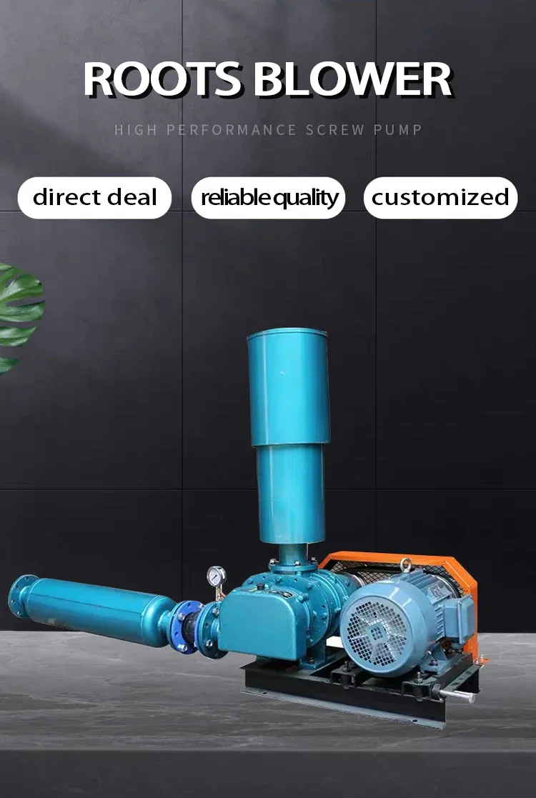 Roots Blower, 345, Electric - detail 2