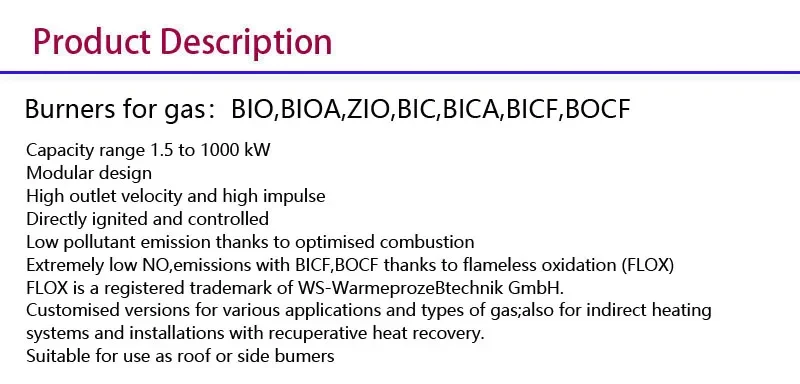 Gas Industrial Boiler, BIC, 65RB-0/35-(37)E - detail 4