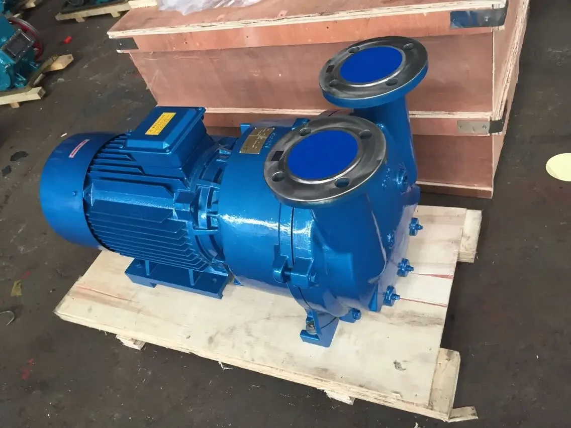 Vacuum Air Sucking Pump, 220V, Electric - detail 2