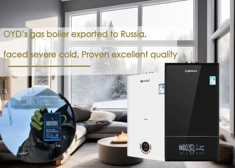 Combi Boiler, 24kw, Gas, Glass Panel - detail 8