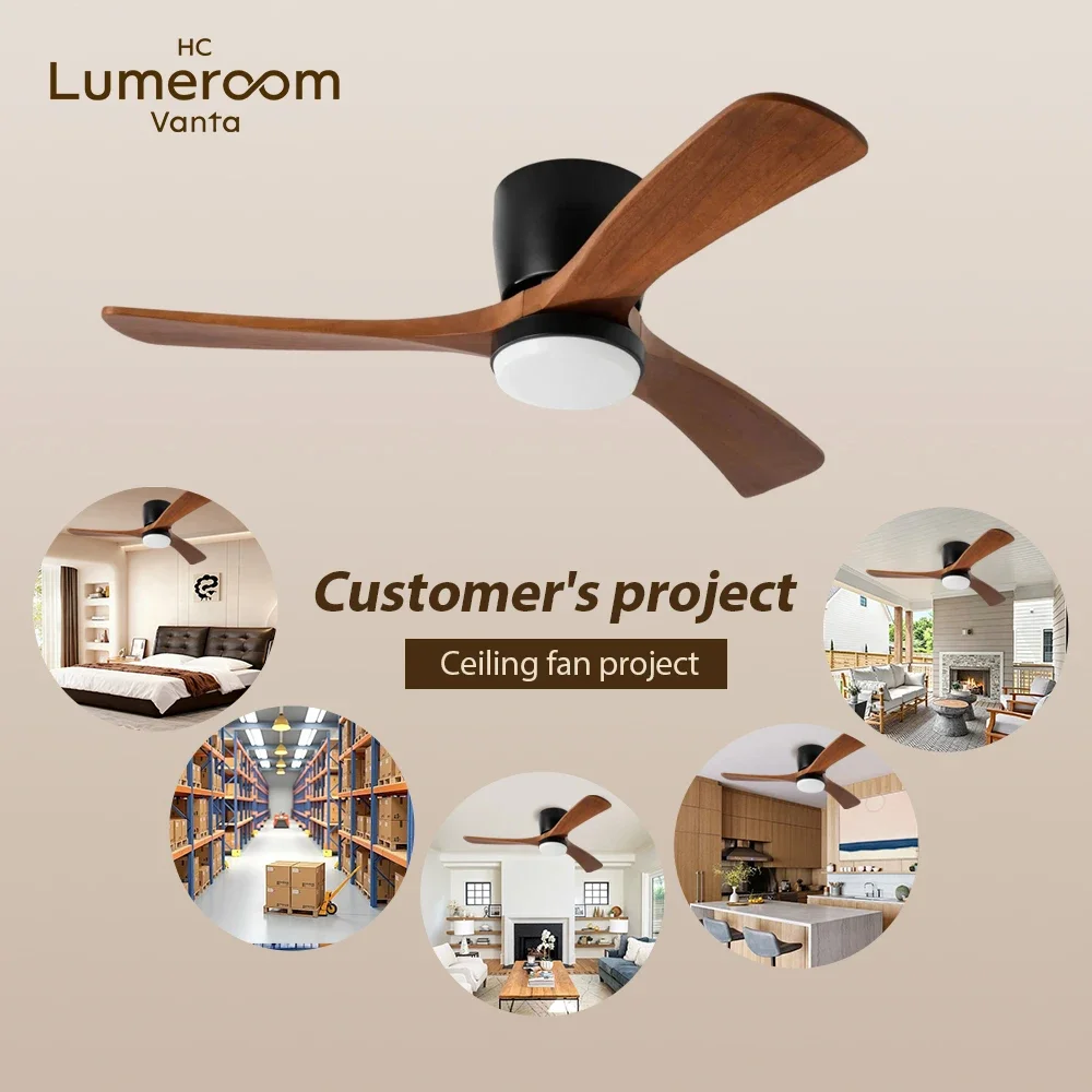 Blade Ceiling Fan, USA, W2352P154687, Motor 10 years - detail 8