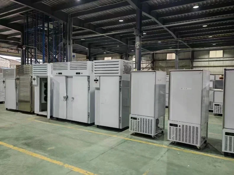 Blast Freezer, IQF, Stainless, Steel - detail 20