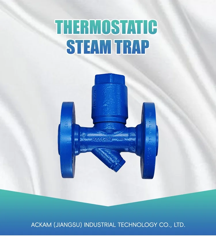Steam Trap Valve, 513F, Steel, DN15, PN20 - detail 2