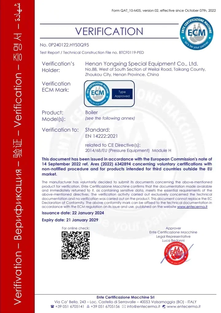 Year-round Electric Boiler, Carbon Steel, Natural Circulation - detail 42