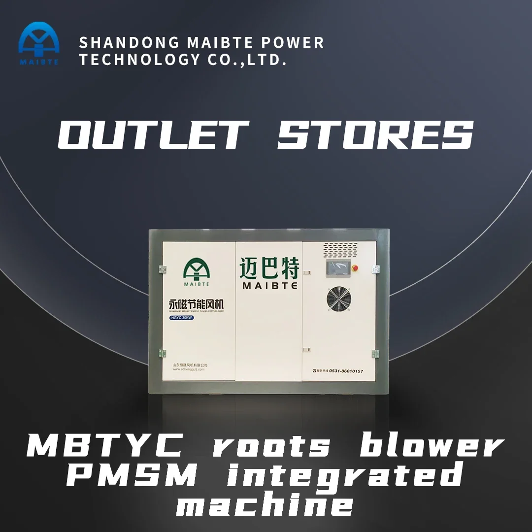 Roots Blower, MAIBTE, MBT05-MBT300 - detail 2