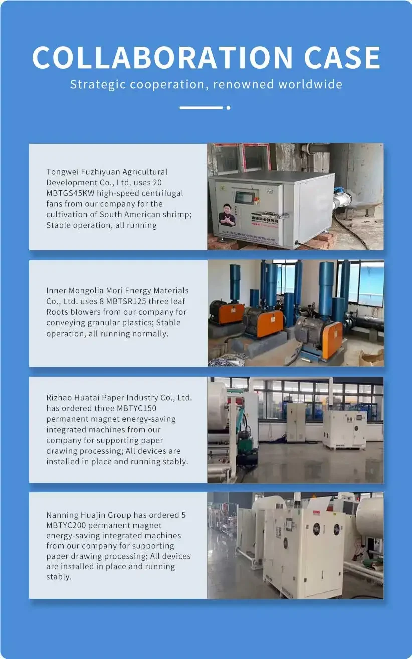 Roots Blower, 1000m/h, Cast, ATEX - detail 32