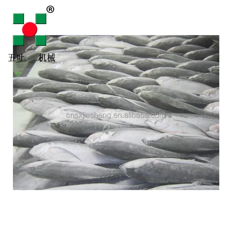Spiral Freezer, 380 V, Stainless Steel 304 - detail 8