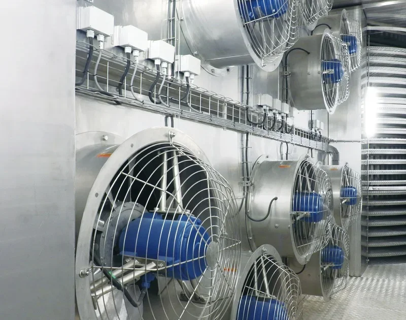 Spiral Freezer, IQF, local, Stainless Steel 304 - detail 32