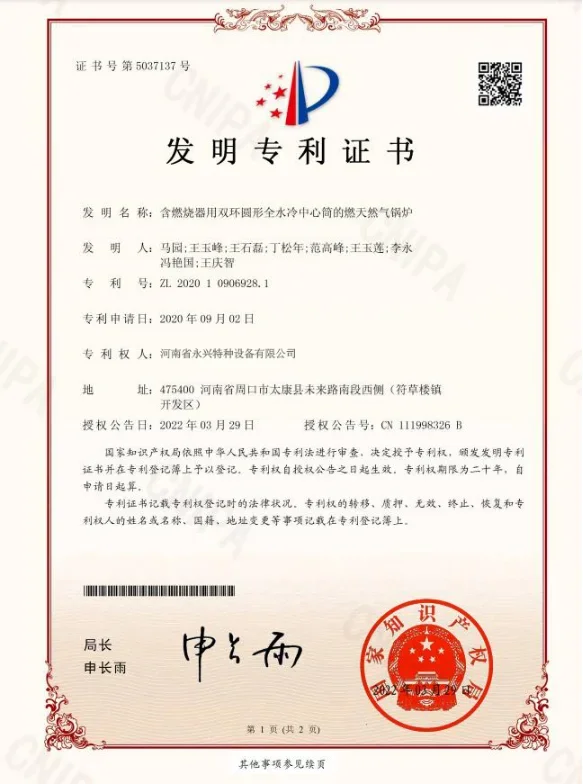 Year-round Electric Boiler, Carbon Steel, Natural Circulation - detail 44