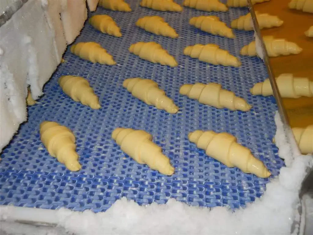 Spiral Freezer, 500kg/h, IQF - detail 20