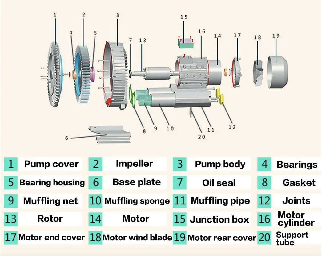 Ring Blower, 830, Radial, 2RB310 - detail 14