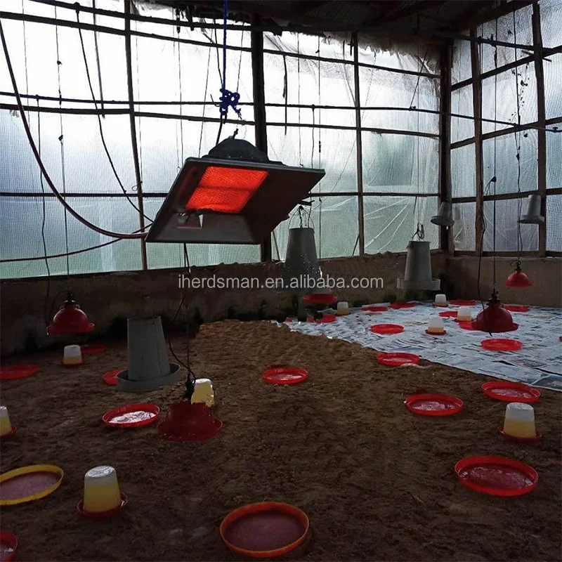 Chicken Gas Brooder Heater, 110, 2.5KW - detail 4