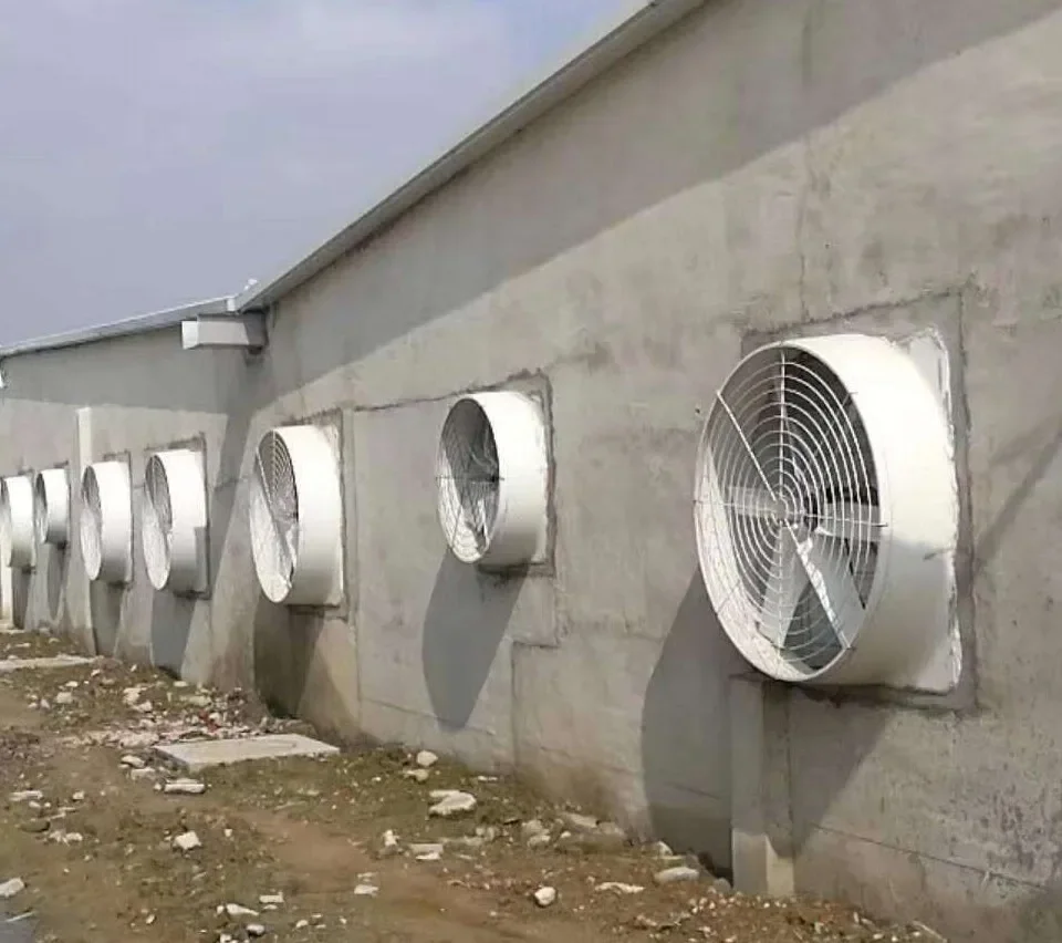 Frp Ventilation Exhaust Fan, Wall, 120 V, Electric - detail 18