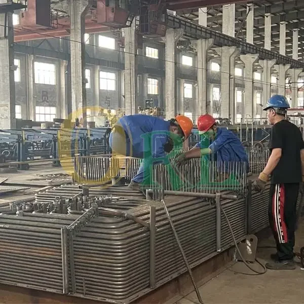 Steam Boiler, Stainless Steel, BOILER ECONOMIZER - detail 34