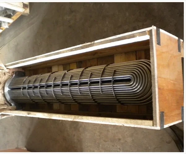 Removable Tube, 220v, Stainless Steel - detail 20