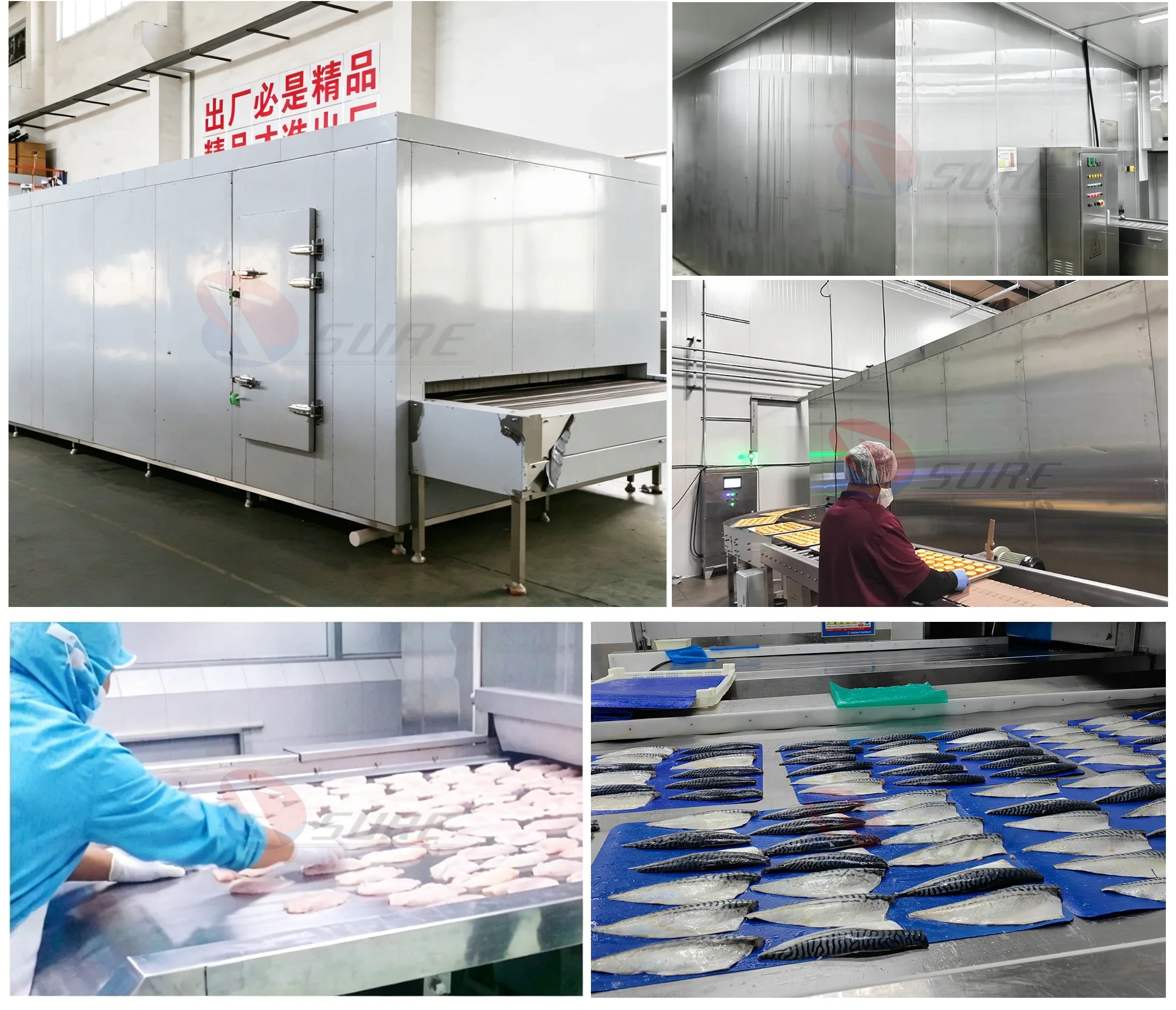 Equipment Quick Tunnel Freezer, IQF, 380v - detail 4