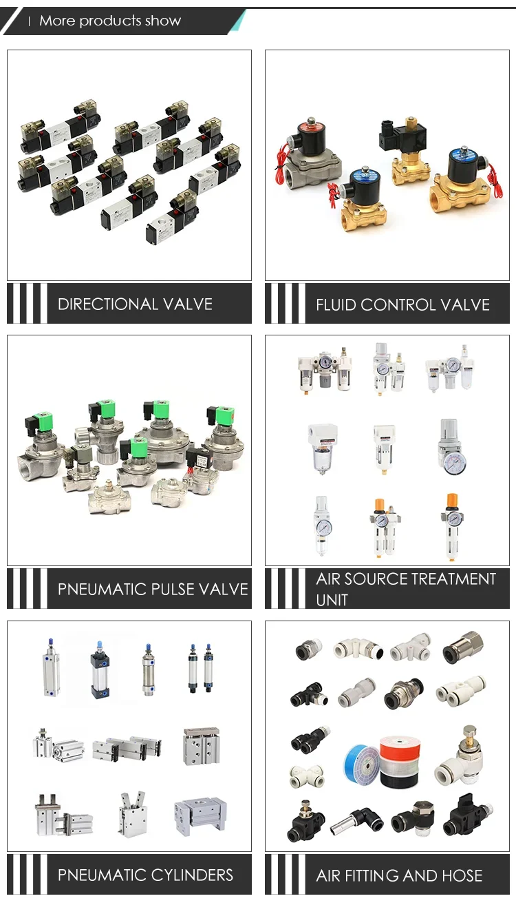 Way Valve, 3V1-06, 24V, 110V, 220V - detail 20