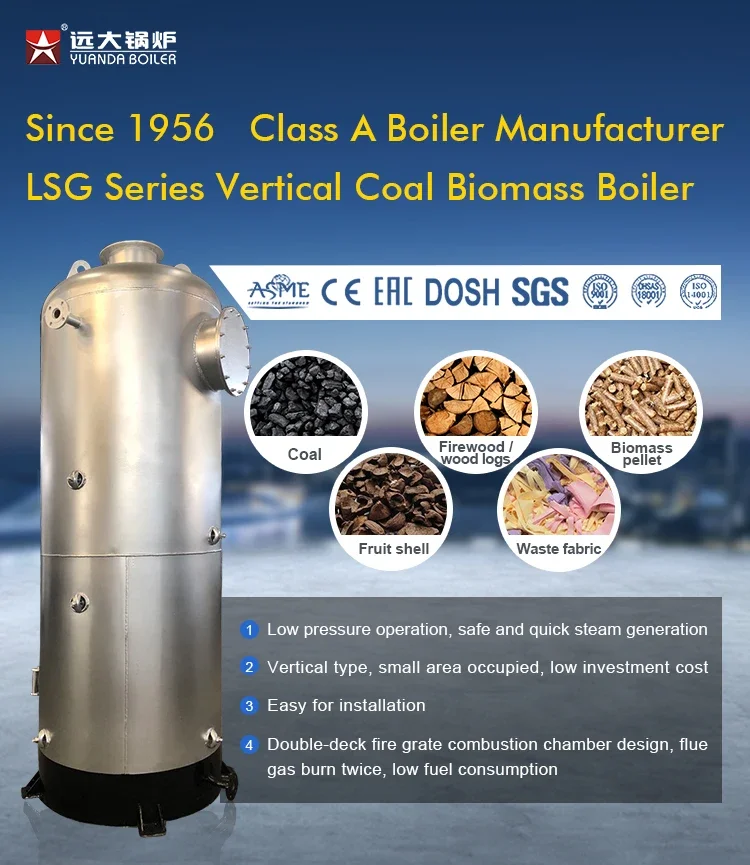 Small Steam Boiler, 100kg, 200kg, 300kg, 500kg - detail 2