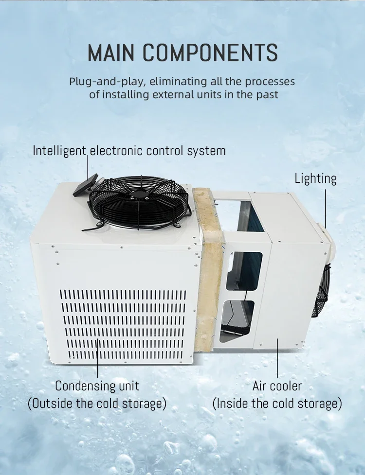 Condensing Unit, Monoblock, 110V, -22- 8℃ - detail 4