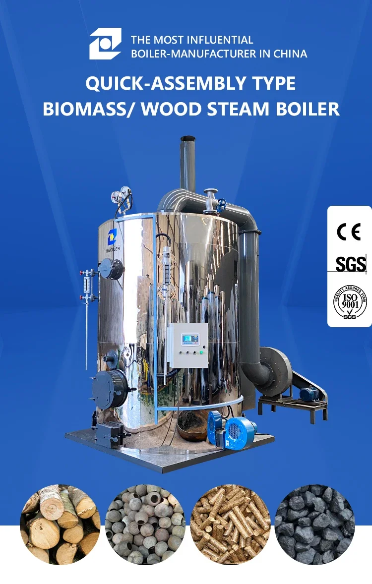 Steel Steam Generator, Stainless, 0.5-1 - detail 2