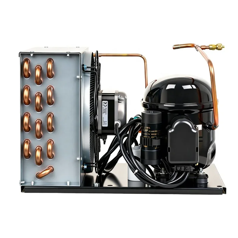 Condensing Unit, 220V, NJ2192GK, R404A, 2.5KW - detail 8