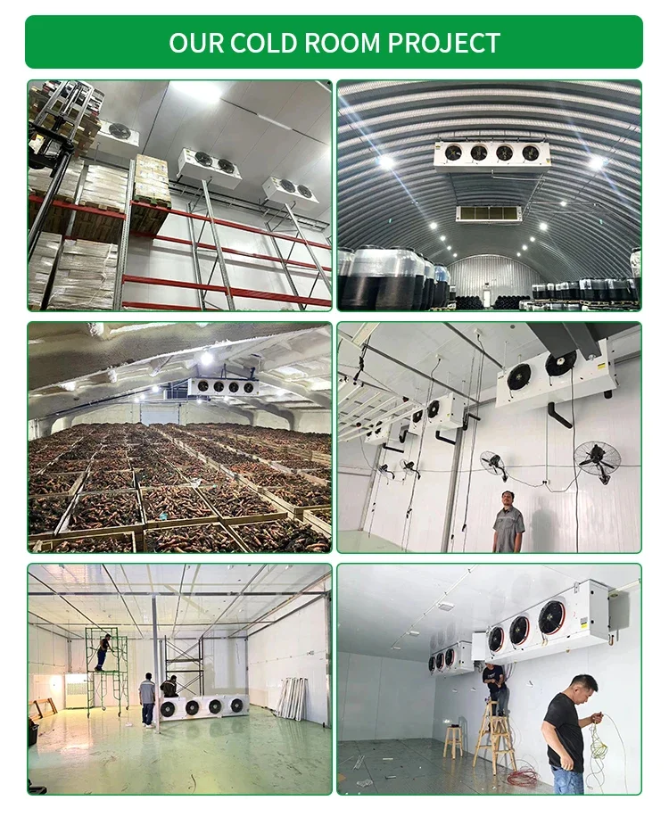 Condensing Unit, 380 V, -20degree - detail 14