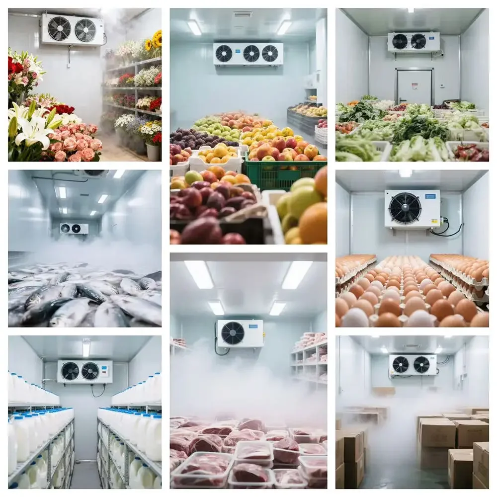Cold Room Commercial Freezer, 400 V, 5 kW(6.71hp) - detail 20