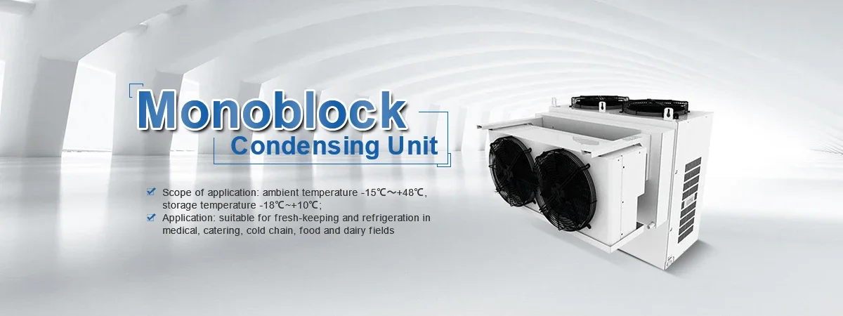 Monoblock Refrigeration Equipment Freezer, 110V, R404A - detail 2