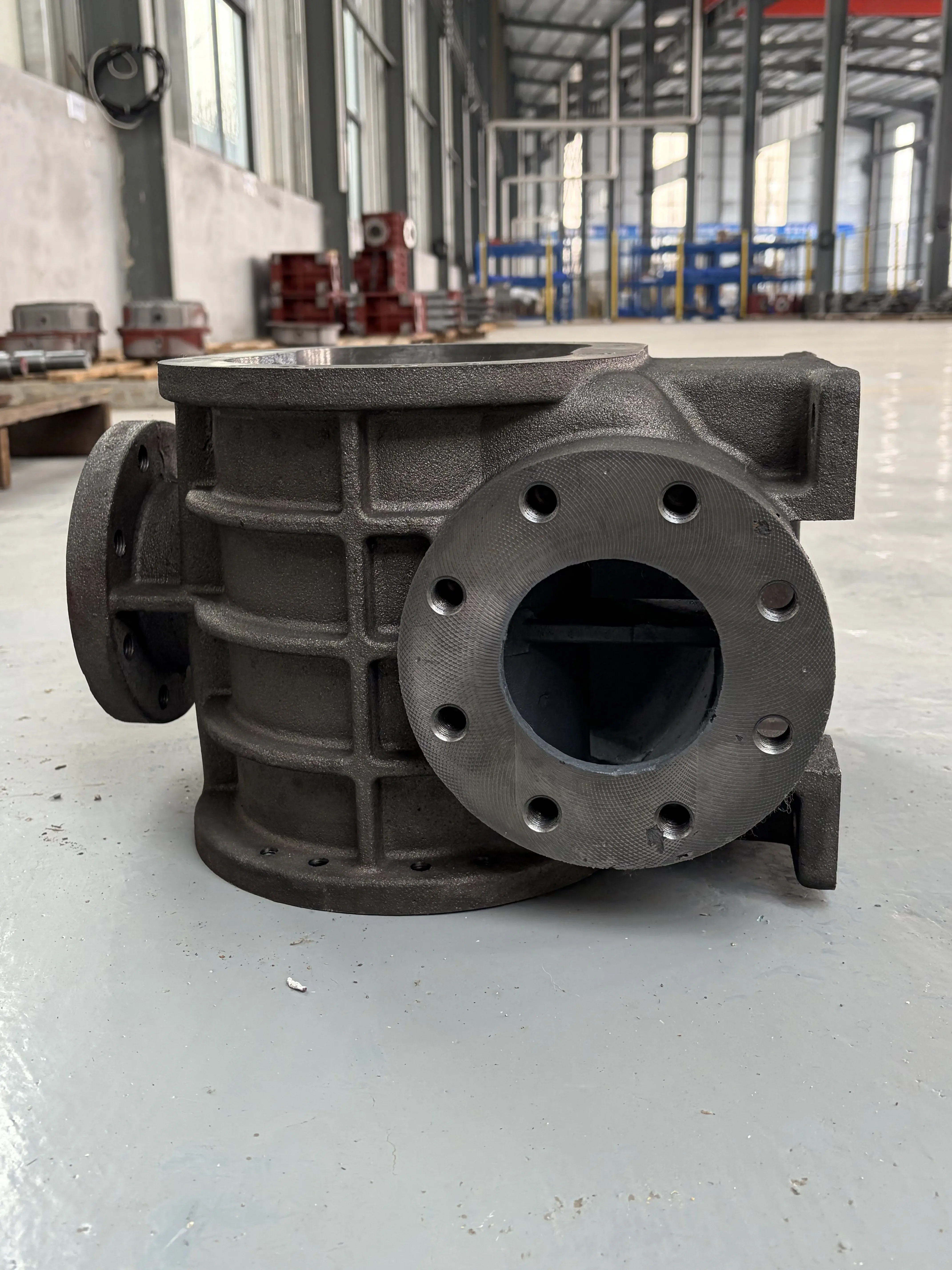 Roots Blower, 30hp, Cast - detail 26