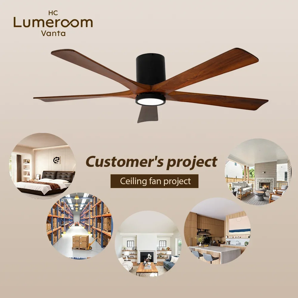 Ceiling Fan, USA, W2352P373468, Motor 10 years - detail 6