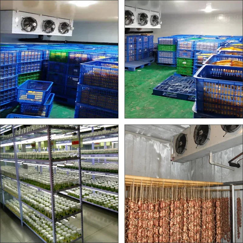 Cold Room Commercial Freezer, 400 V, 5 kW(6.71hp) - detail 22